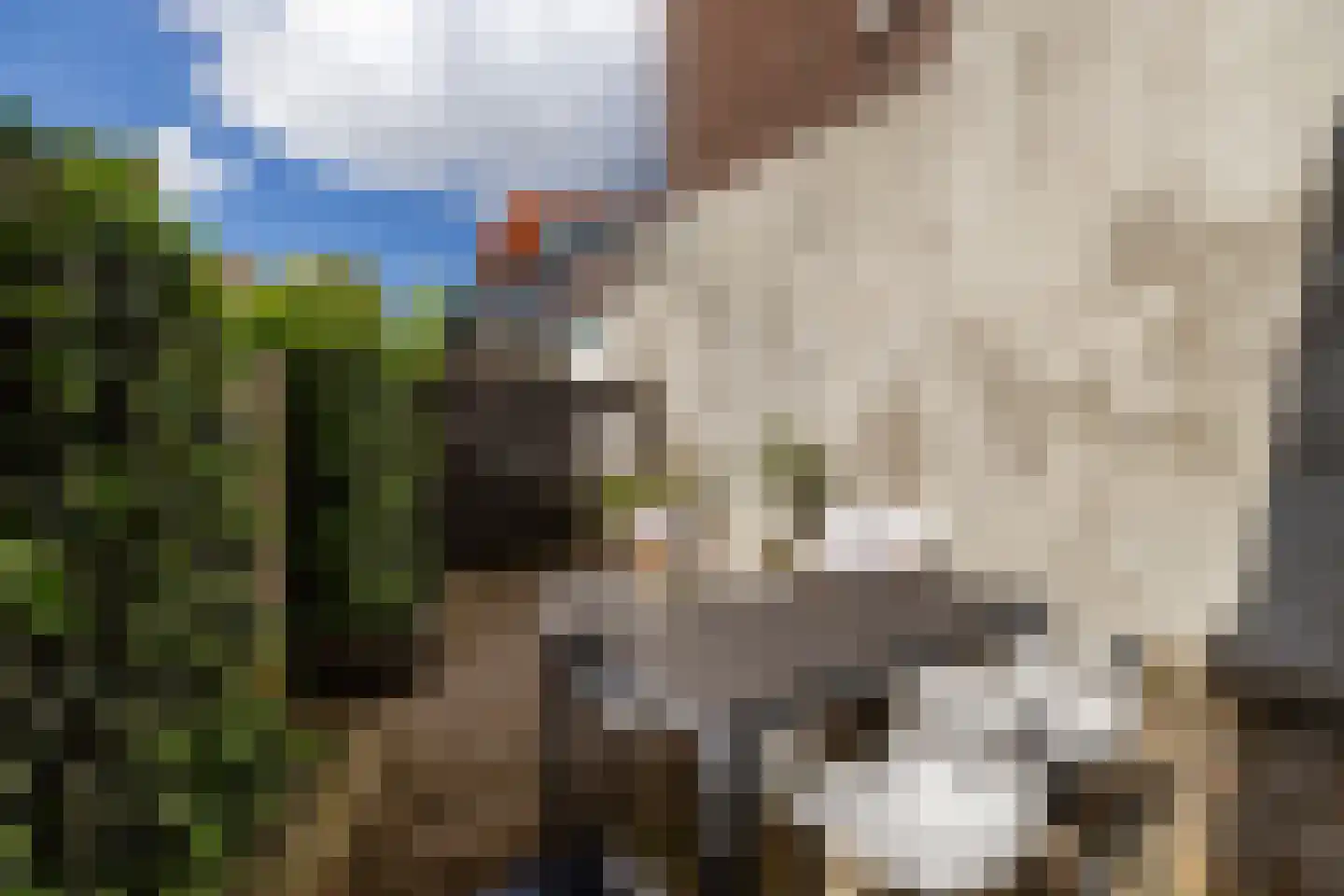 Zestienhovensekade 7 Rotterdam thumbnail 36