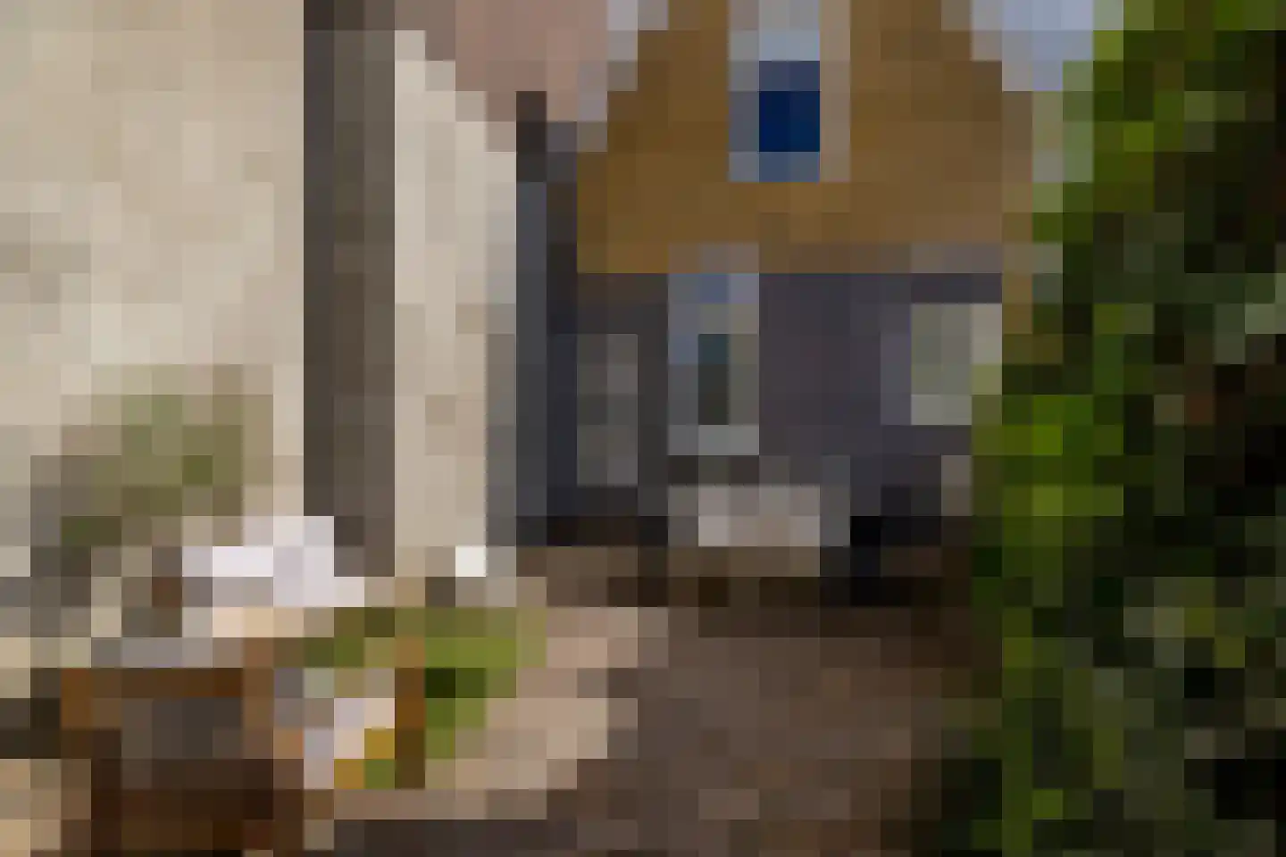 Zestienhovensekade 7 Rotterdam thumbnail 38