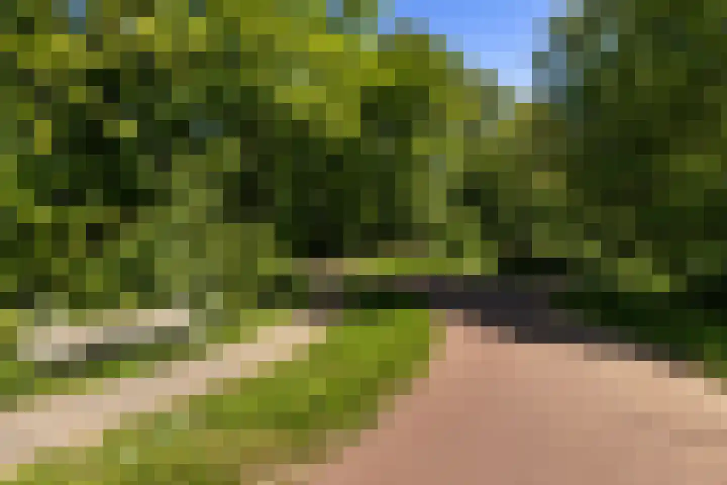 Zestienhovensekade 97 B Rotterdam thumbnail 33