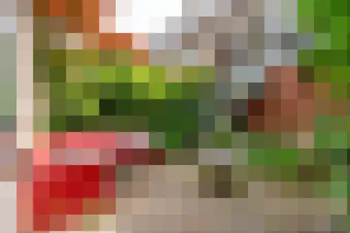 Zestienhovenstraat 21 Rotterdam thumbnail 15