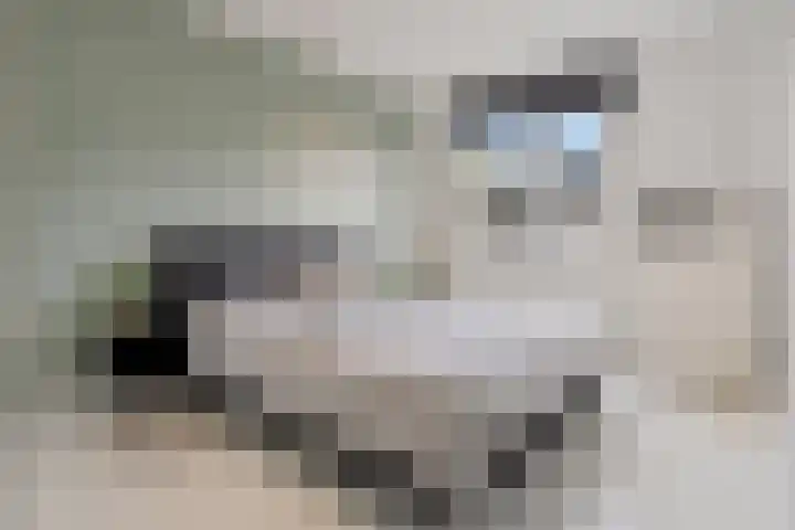 Zeswegenlaan 145 Heerlen thumbnail 15