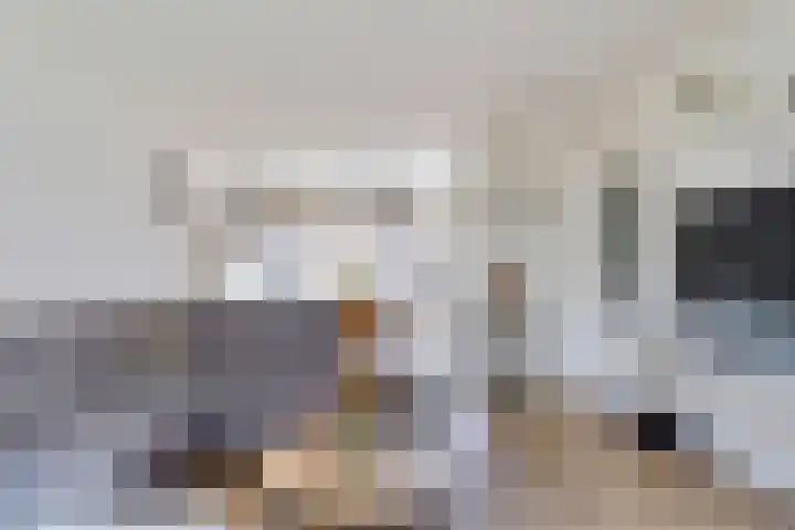Zeswegenlaan 145 Heerlen thumbnail 6