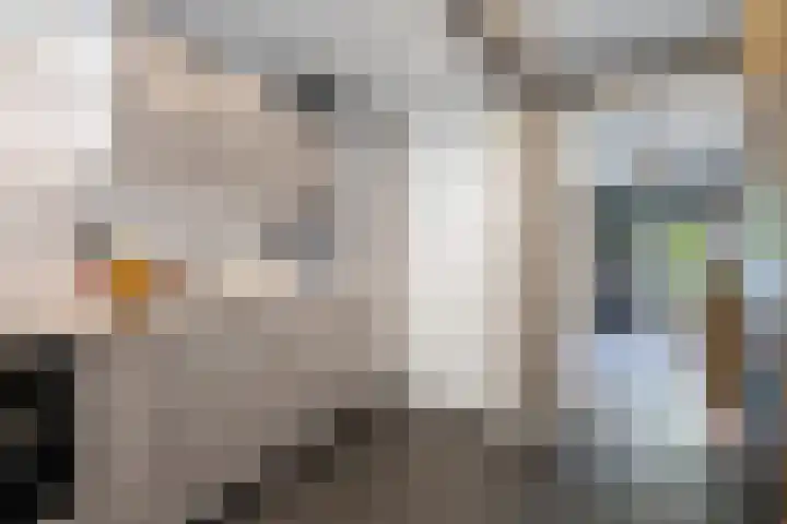 Zeswegenlaan 188 Heerlen thumbnail 14