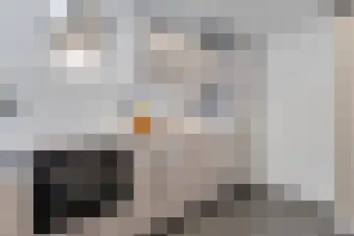 Zeswegenlaan 188 Heerlen thumbnail 15