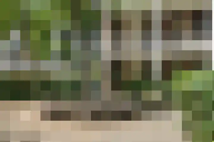 Zeswegenlaan 188 Heerlen thumbnail 22