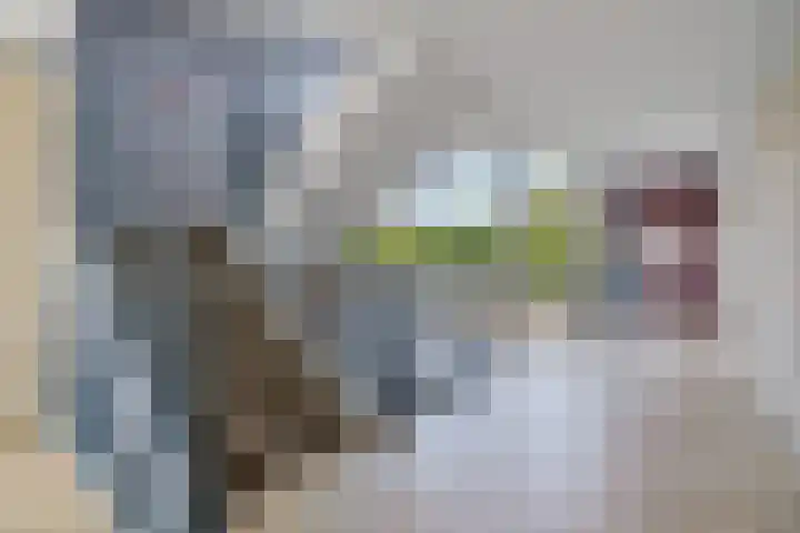 Zeswegenlaan 188 Heerlen thumbnail 24
