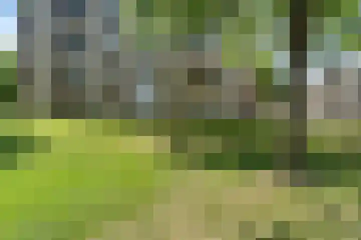Zeswegenlaan 188 Heerlen thumbnail 27