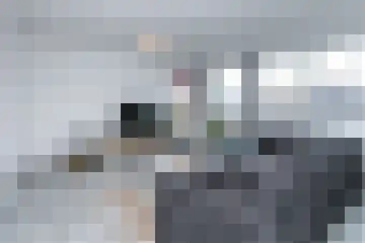 Zeswegenlaan 216 Heerlen thumbnail 5