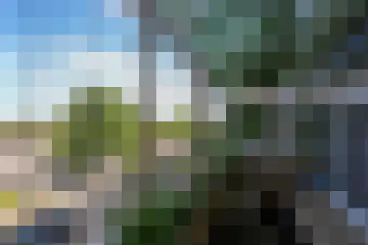 Zeswegenlaan 235 Heerlen thumbnail 11