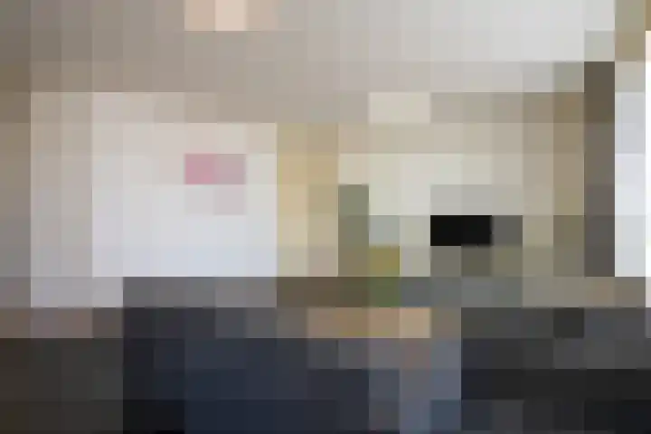 Zeswegenlaan 235 Heerlen thumbnail 4