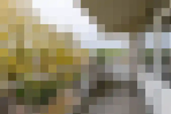 Zeswegenlaan 252 Heerlen thumbnail 16