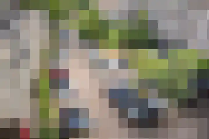Zeswegenlaan 261 Heerlen thumbnail 5