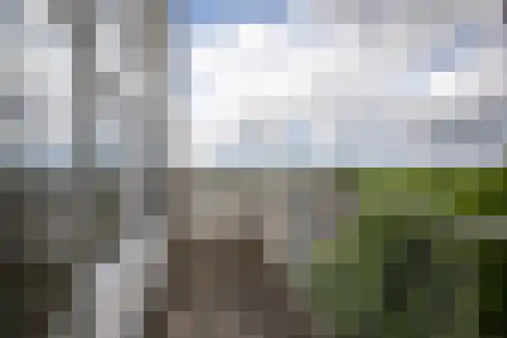 Zeswegenlaan 262 Heerlen thumbnail 10