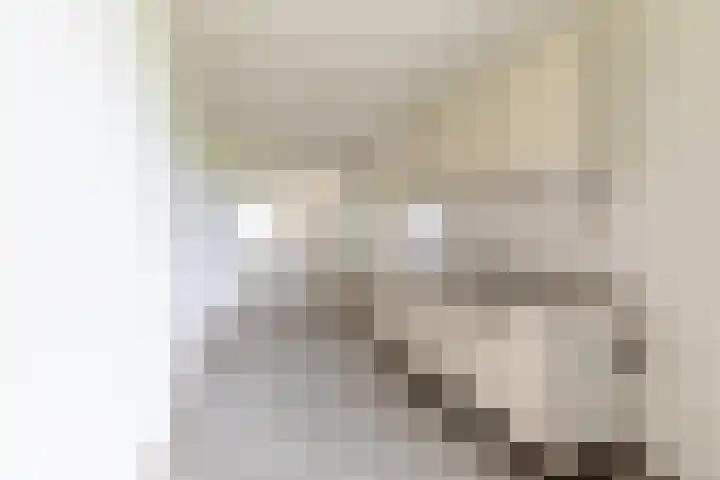 Zeswegenlaan 262 Heerlen thumbnail 11