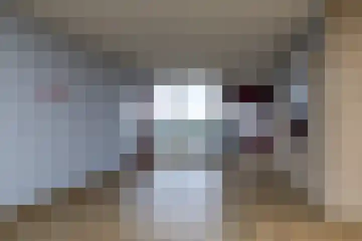 Zeswegenlaan 265 Heerlen thumbnail 31