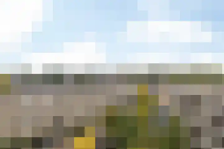 Zeswegenlaan 265 Heerlen thumbnail 34