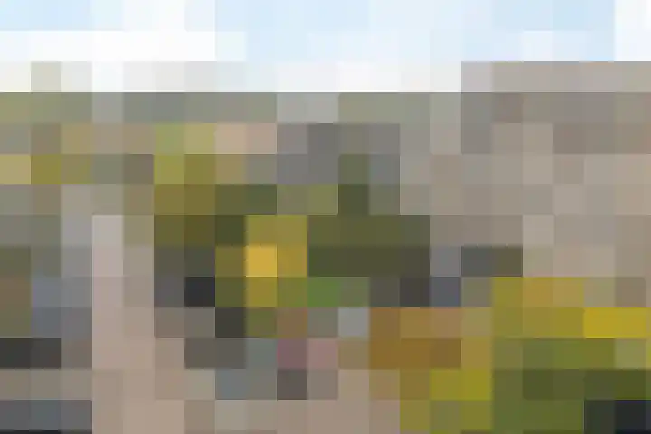 Zeswegenlaan 265 Heerlen thumbnail 35