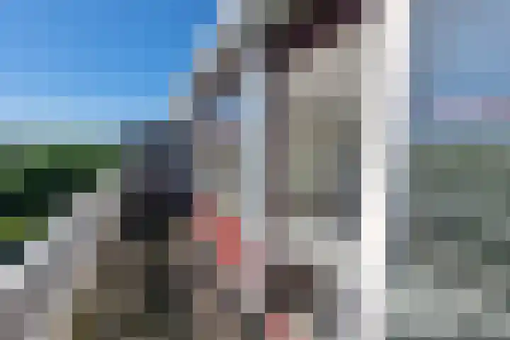 Zeswegenlaan 267 Heerlen thumbnail 7