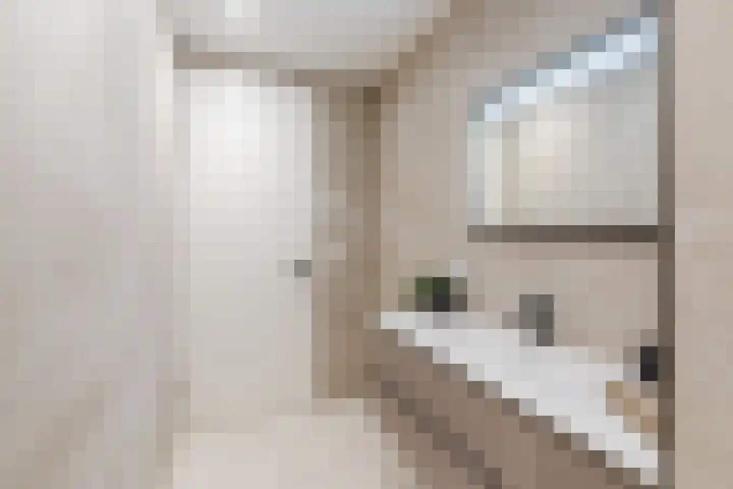 Zeswegenlaan 277 Heerlen thumbnail 27