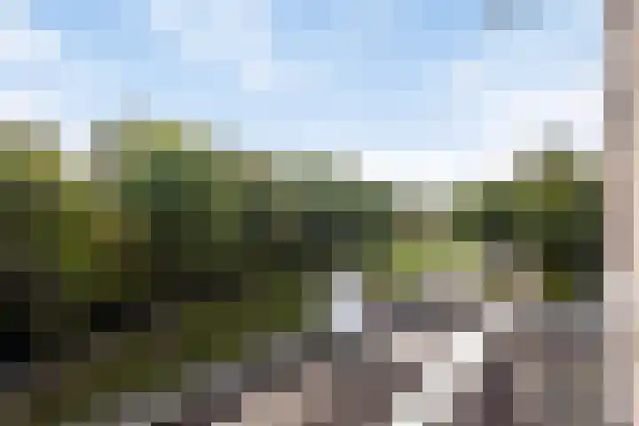 Zeswegenlaan 295 Heerlen thumbnail 11