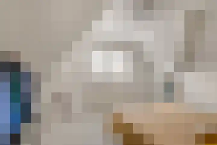 Zeswielen 11 Alkmaar thumbnail 23