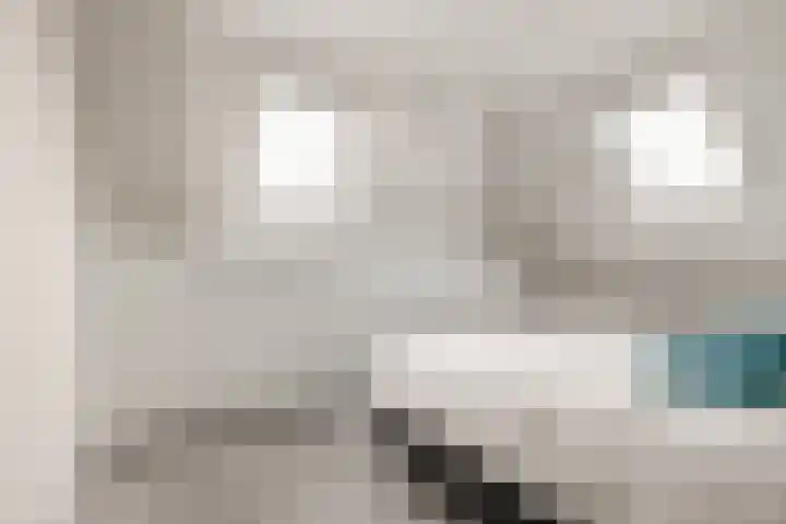 Zeswielen 11 Alkmaar thumbnail 25