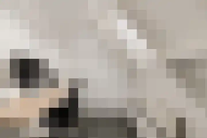 Zeswielen 11 Alkmaar thumbnail 27