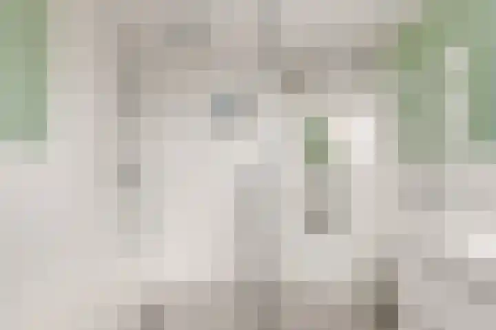 Zeswielen 11 Alkmaar thumbnail 30