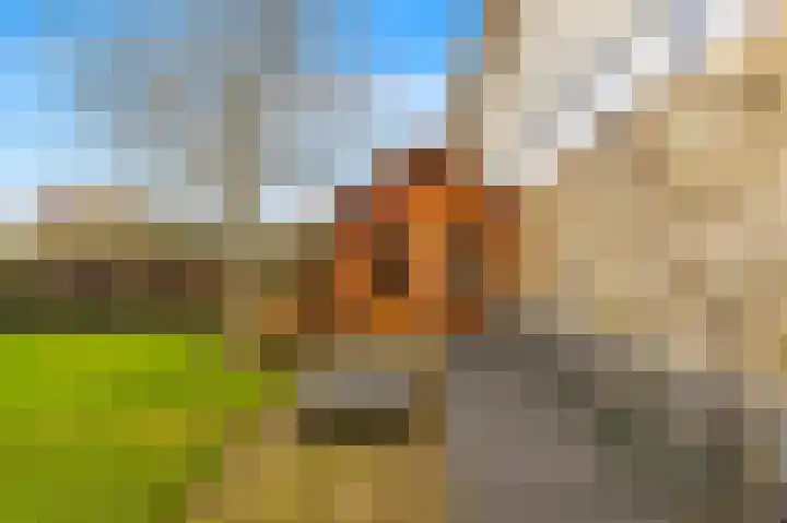 Zeswielen 11 Alkmaar thumbnail 37