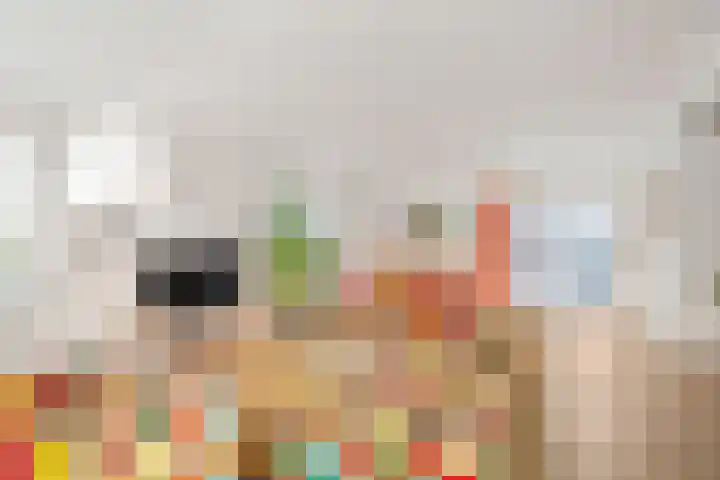 Zeswielen 11 Alkmaar thumbnail 7