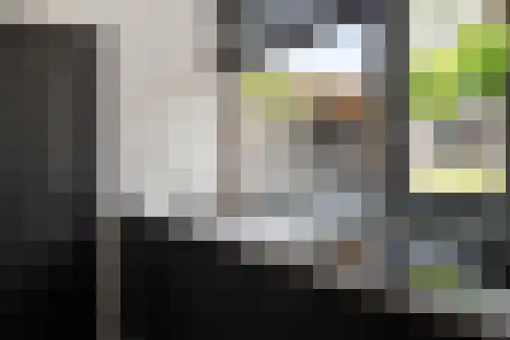 Zeswielenstraat 13 Alkmaar thumbnail 12