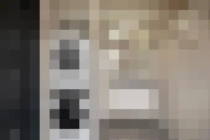 Zeswielenstraat 13 Alkmaar thumbnail 15