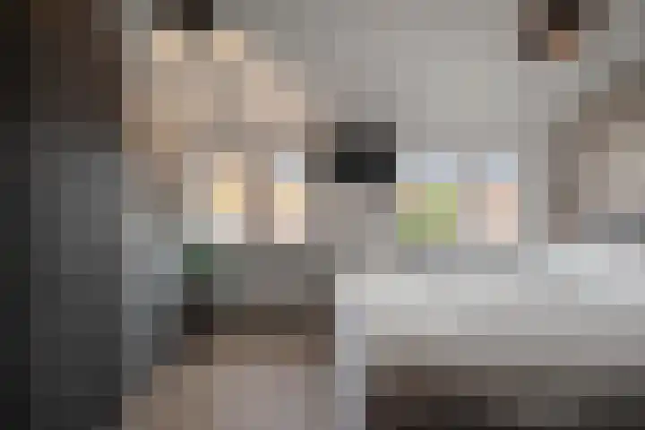Zeswielenstraat 13 Alkmaar thumbnail 17