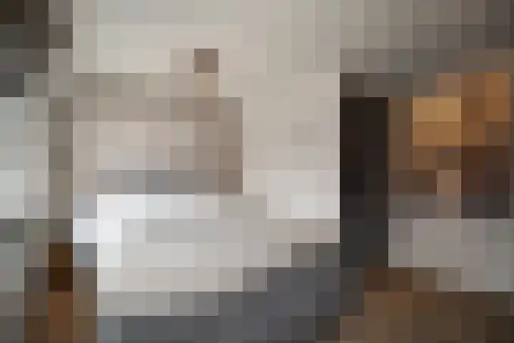 Zeswielenstraat 13 Alkmaar thumbnail 18