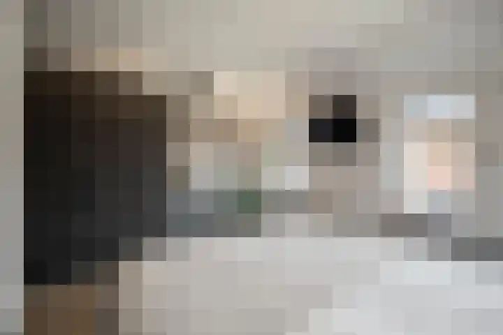 Zeswielenstraat 13 Alkmaar thumbnail 19