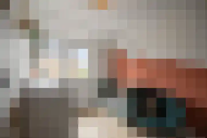 Zeswielenstraat 13 Alkmaar thumbnail 20