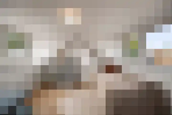 Zeswielenstraat 13 Alkmaar thumbnail 23