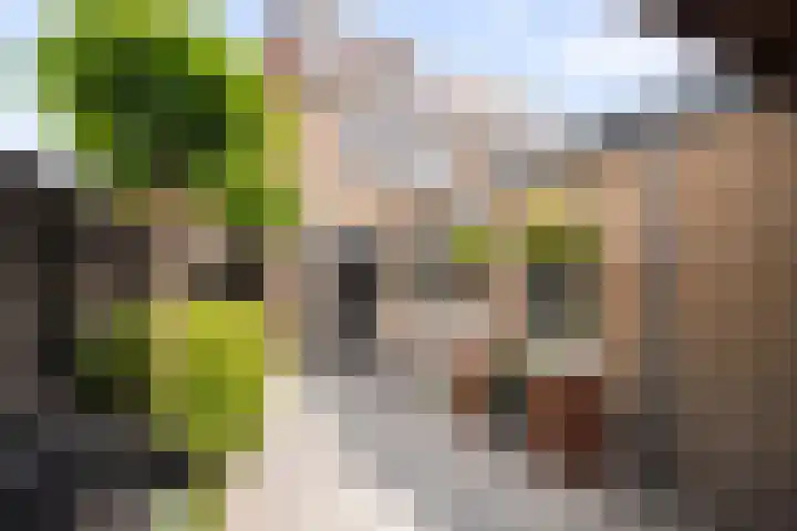 Zeswielenstraat 13 Alkmaar thumbnail 27