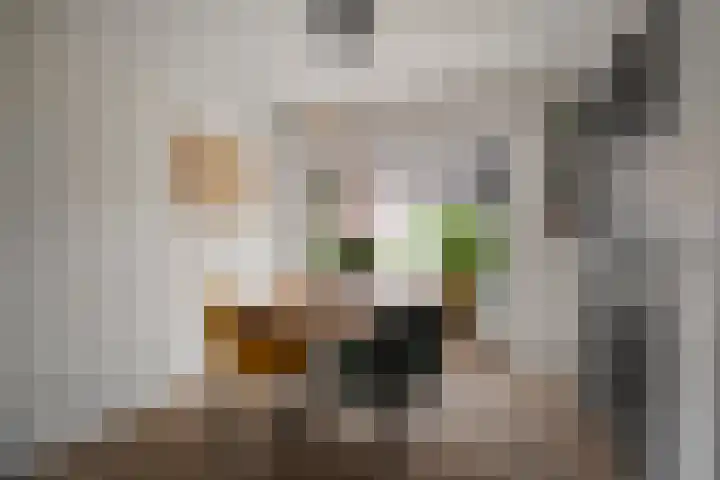 Zeswielenstraat 13 Alkmaar thumbnail 7