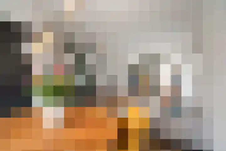 Zeswielenstraat 13 Alkmaar thumbnail 8