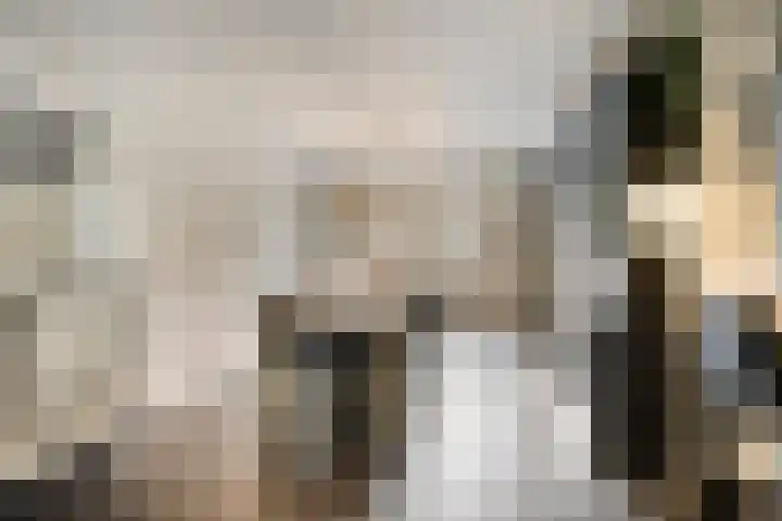 Zeterdonk 7 Den Dungen thumbnail 10