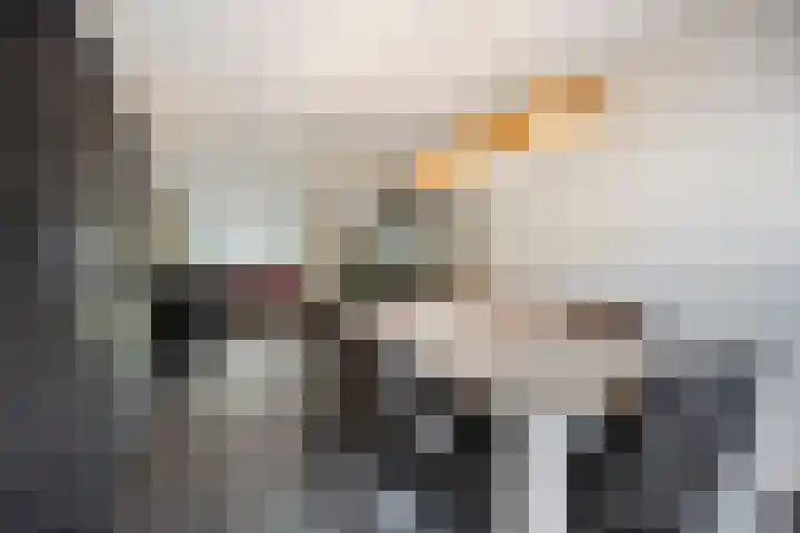 Zeterdonk 7 Den Dungen thumbnail 11