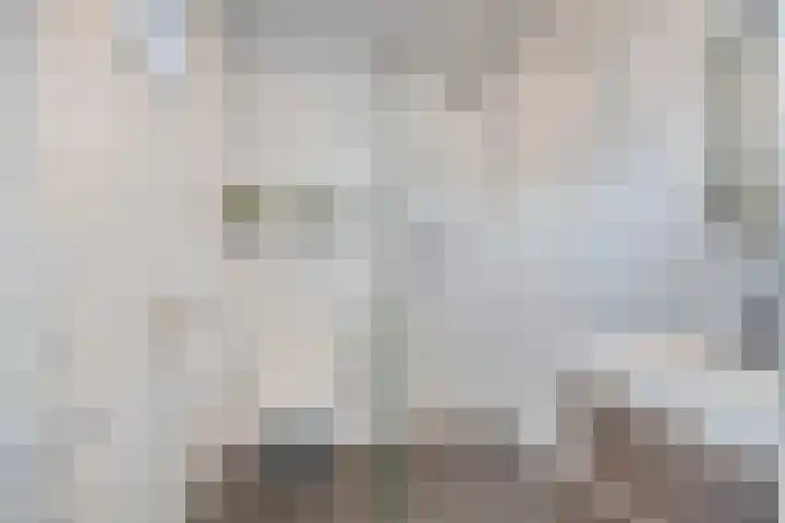 Zeterdonk 7 Den Dungen thumbnail 12