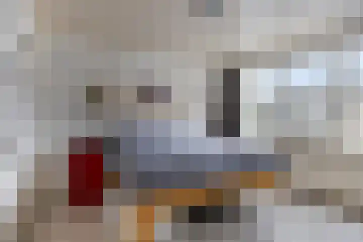 Zeterdonk 7 Den Dungen thumbnail 18