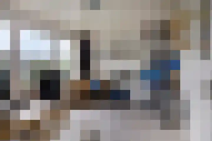 Zeterdonk 7 Den Dungen thumbnail 19