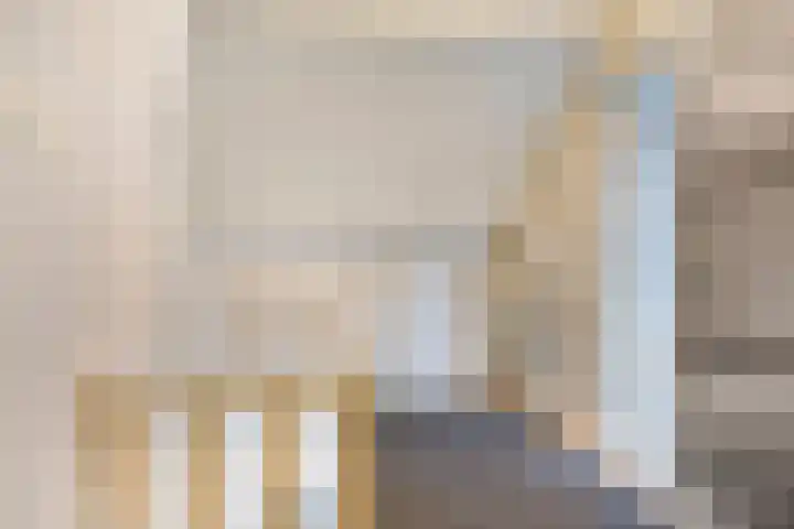 Zeterdonk 7 Den Dungen thumbnail 24