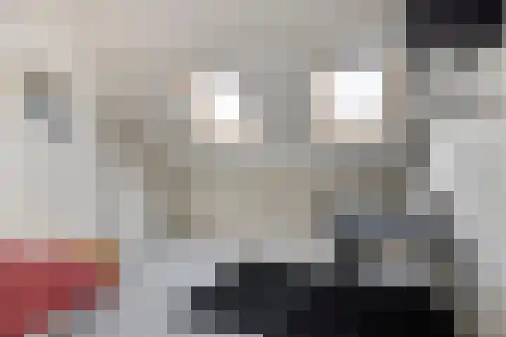 Zeterdonk 7 Den Dungen thumbnail 25