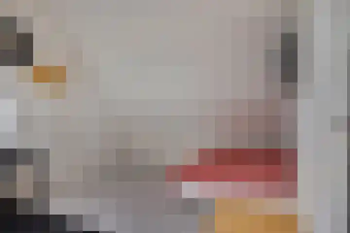 Zeterdonk 7 Den Dungen thumbnail 26