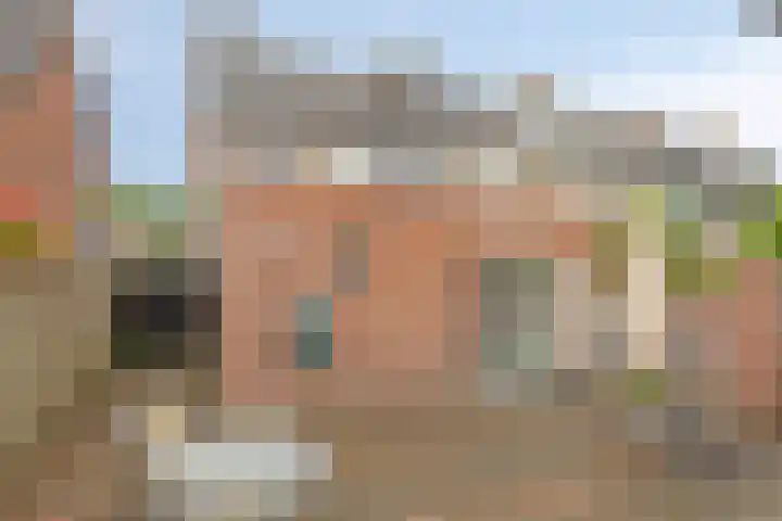 Zeterdonk 7 Den Dungen thumbnail 28