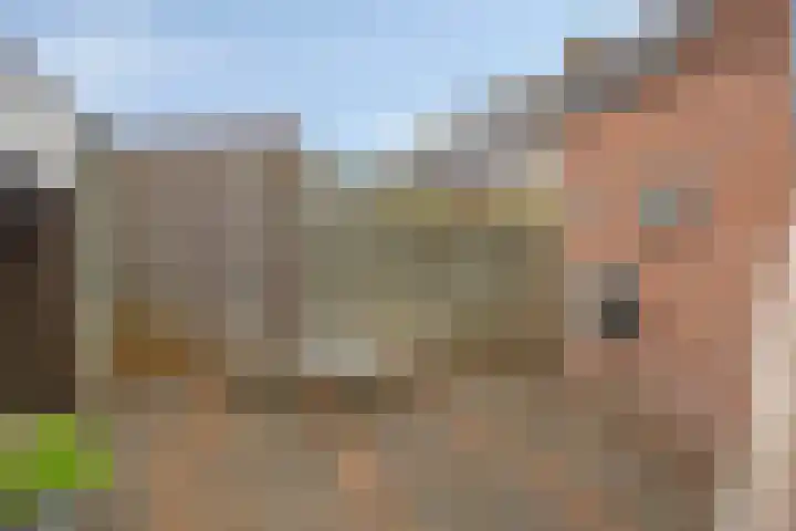 Zeterdonk 7 Den Dungen thumbnail 29